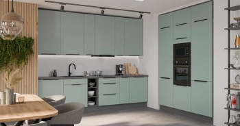 aria-sa-ant-1-3.webp
